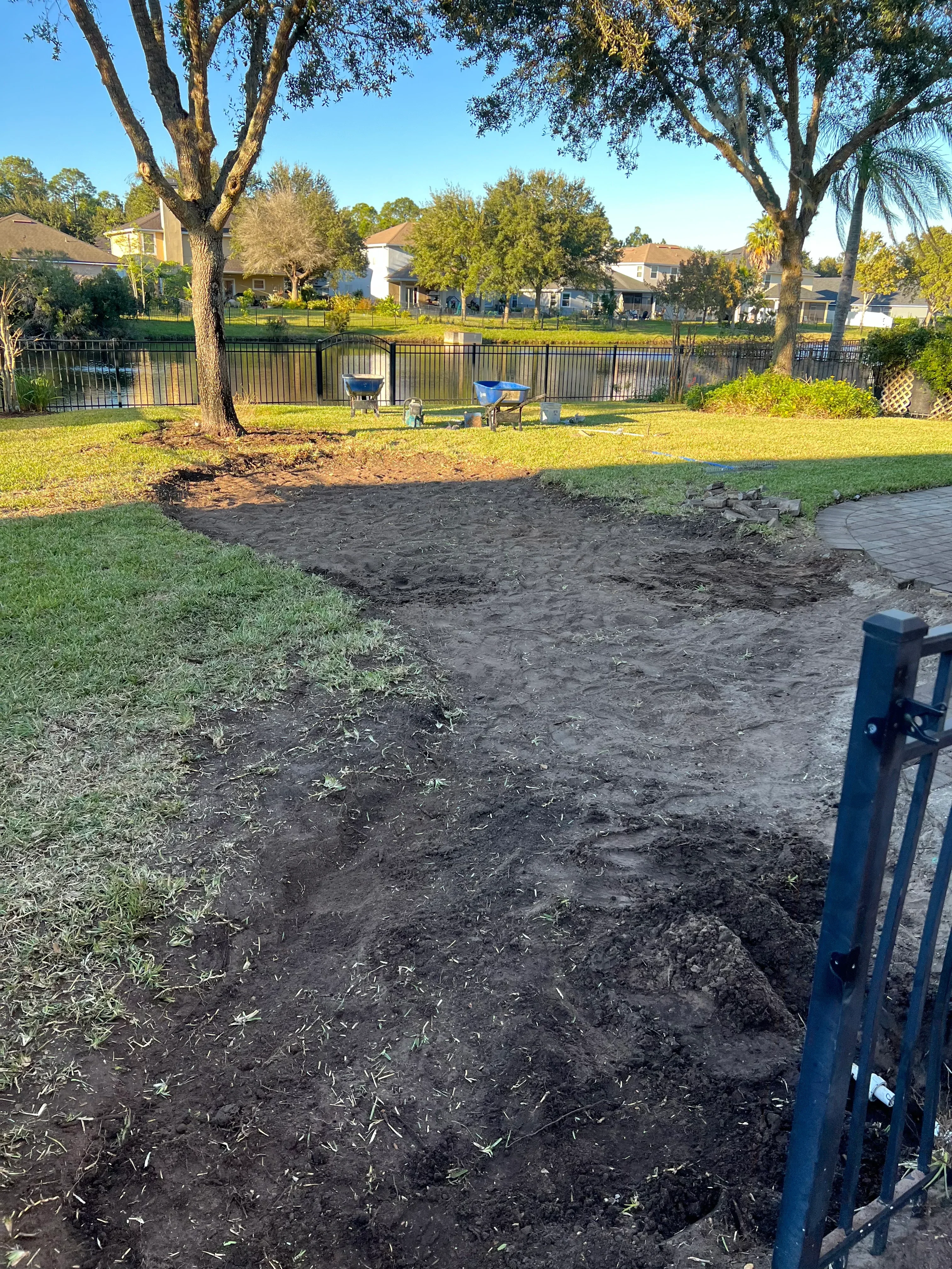 Fresh sod lawn installation along residential driveway with mature trees and landscaped borders